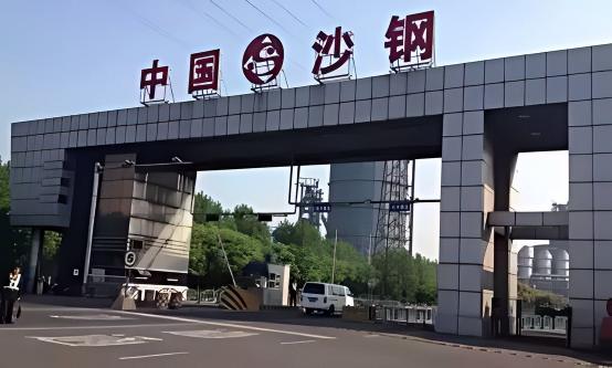Jiangsu Shagang Group