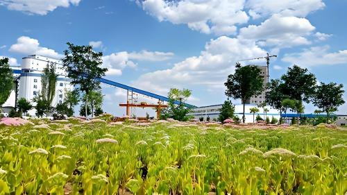 ChinaCoal Mengda Mining